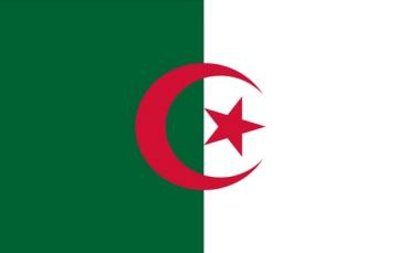Stockfahne Algerien 30 x 45 cm